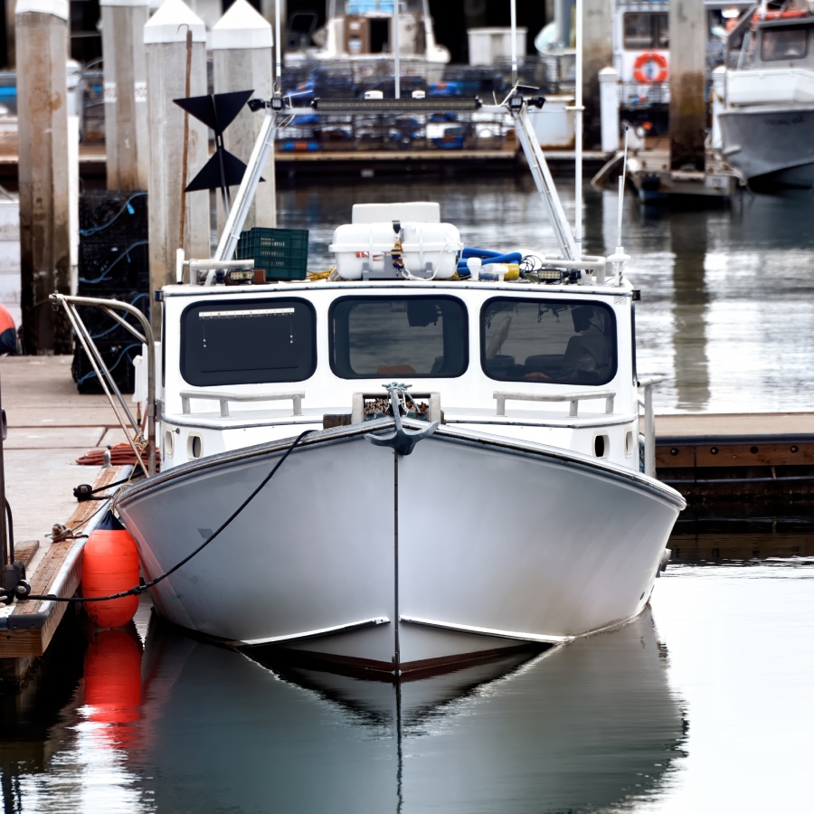 Concessionnaire bateau à Orvault